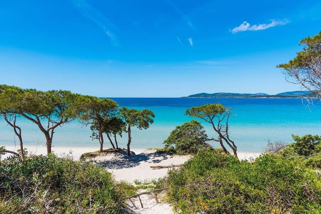 Casa Oliva Αλγκέρο Εξωτερικό φωτογραφία