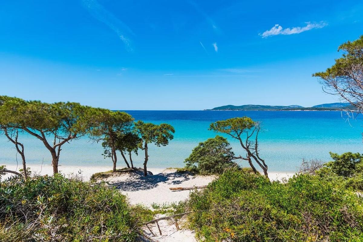 Casa Oliva Αλγκέρο Εξωτερικό φωτογραφία